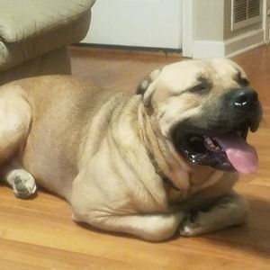 Meet your Posher, Angel